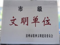 喜訊！公司榮獲“市級文明單位”稱號